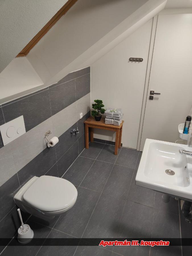 Apartmany Na Ceste Desná エクステリア 写真
